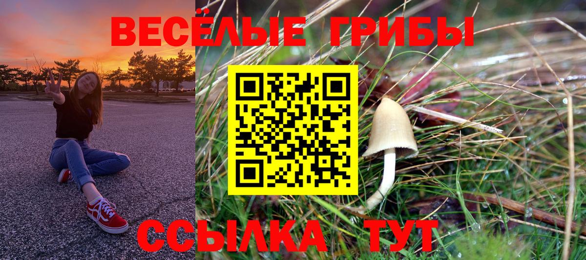Псилоцибиновые грибы мицелий  Вход с VPN  как найти закладки  Псилоцибиновые грибы прущие грибы  Гусиноозёрск 